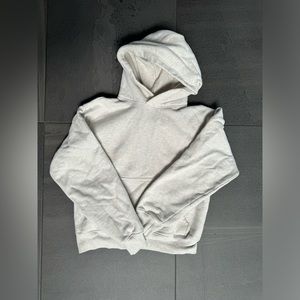 Aritzia Cozy Fleece Perfect Hoodie